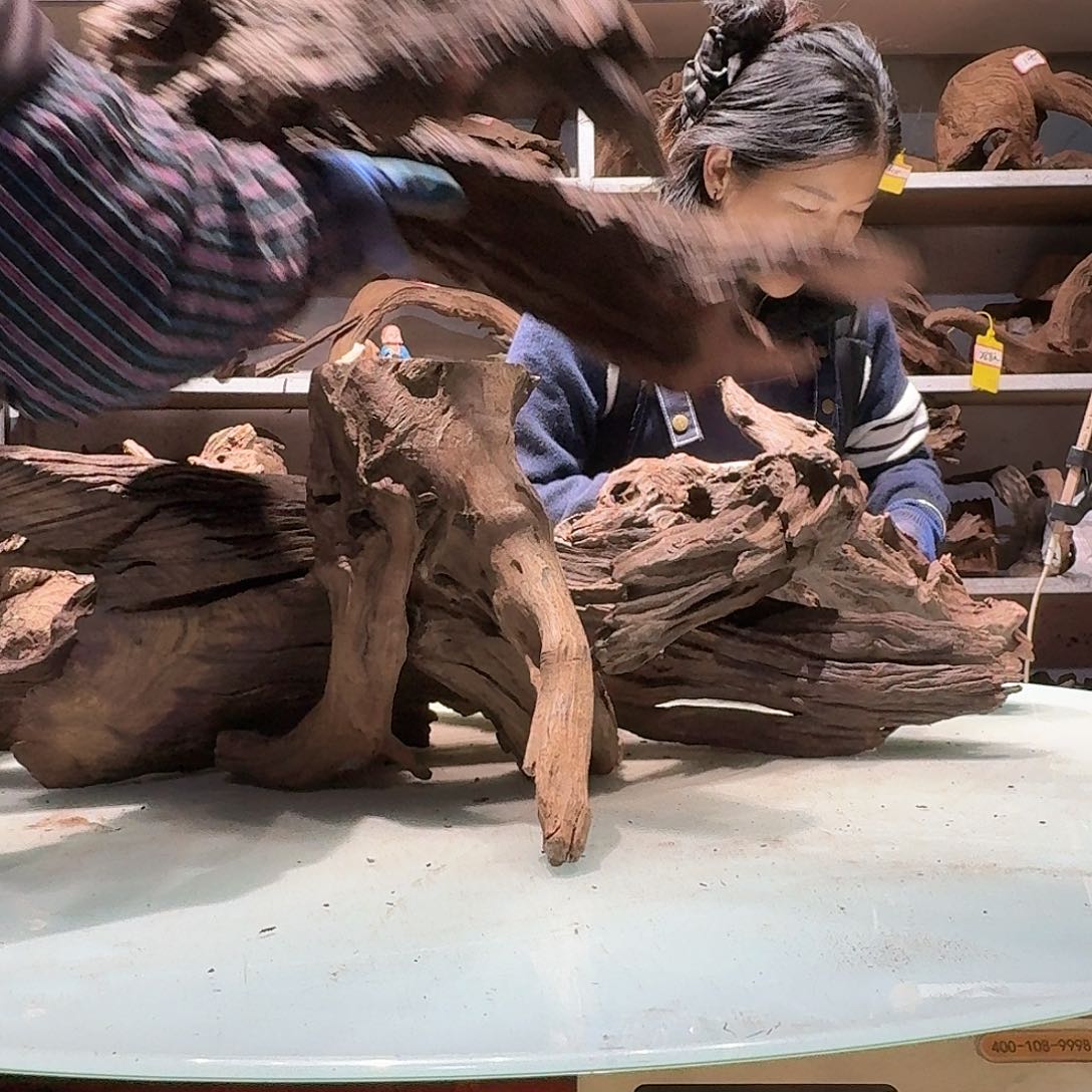 倍褚沉木不包损必褪色新**16669打包