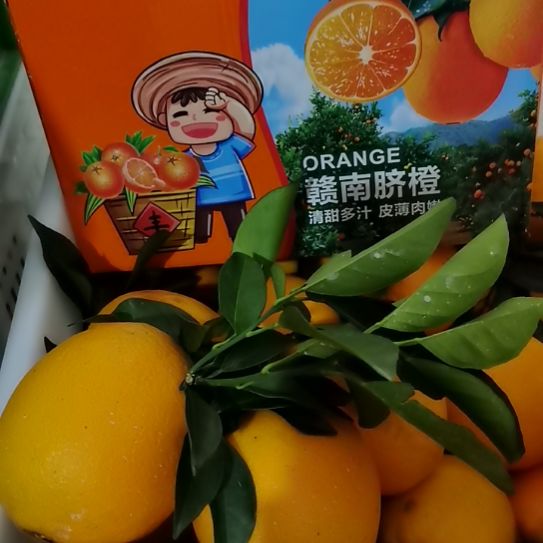 脐橙赣南优惠活动