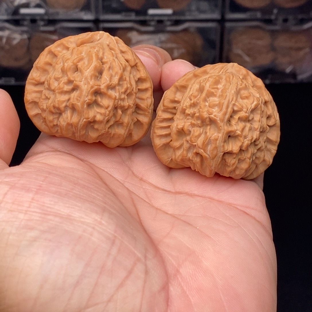 核桃把件 43左右三角白