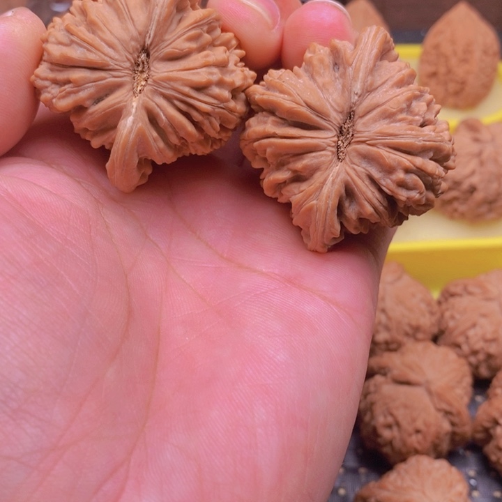 核桃手串/手链楼子狮子头45尺