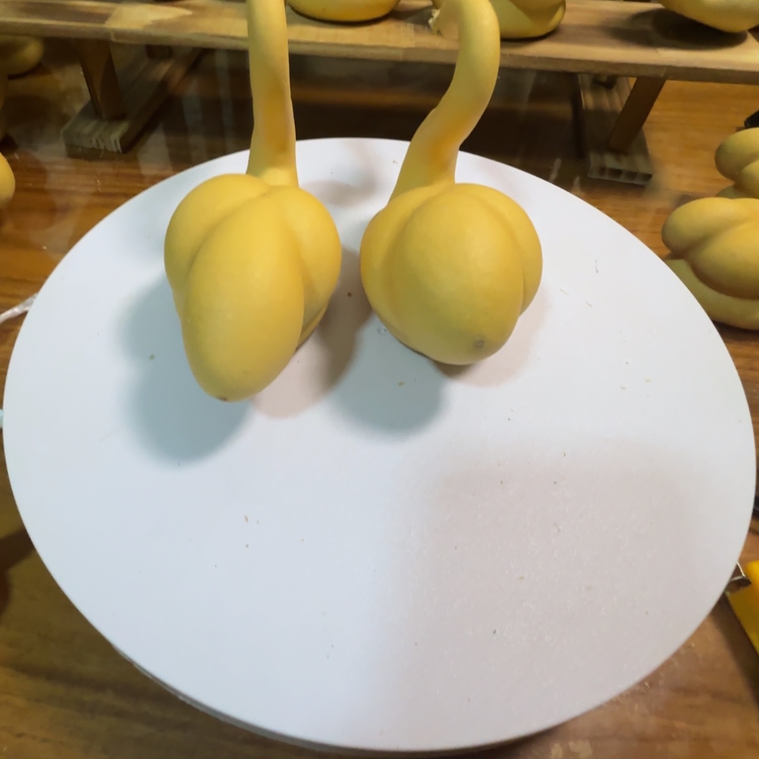 娇***娇天鹅葫芦摆件，家居饰品