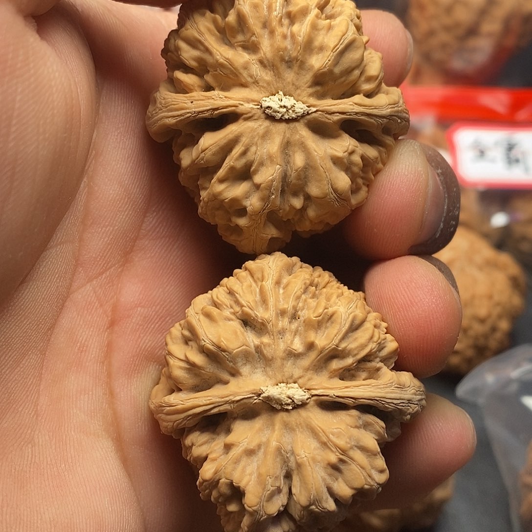 文玩核桃把件滴***滴粗筋41