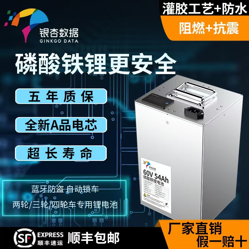 银杏锂电60V64V20Ah-150Ah磷酸铁锂两三轮车锂电池外卖