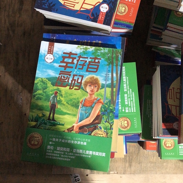 青少年大奖小说6本