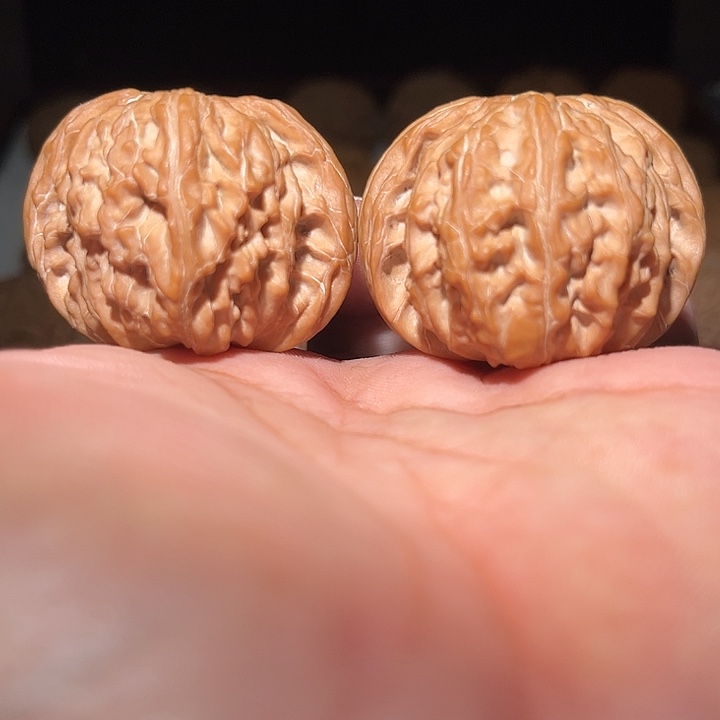 木44全品小正磨盘。  