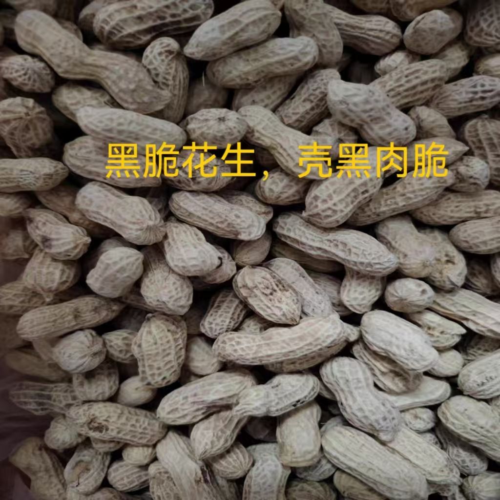 忠信2025年黑脆（咸脆）花生解馋零食酥脆晒干即食营养美味健康