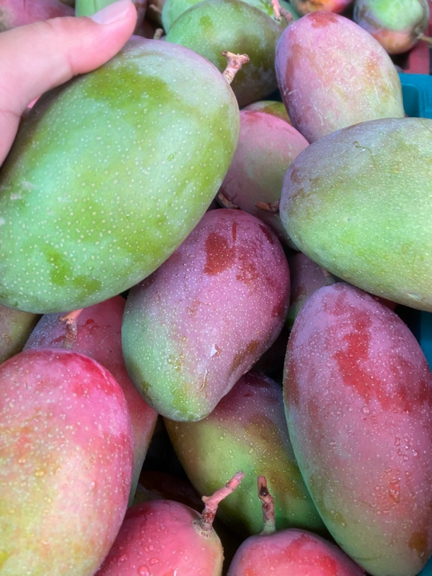 农家自采野放超甜----贵妃芒（八成熟）