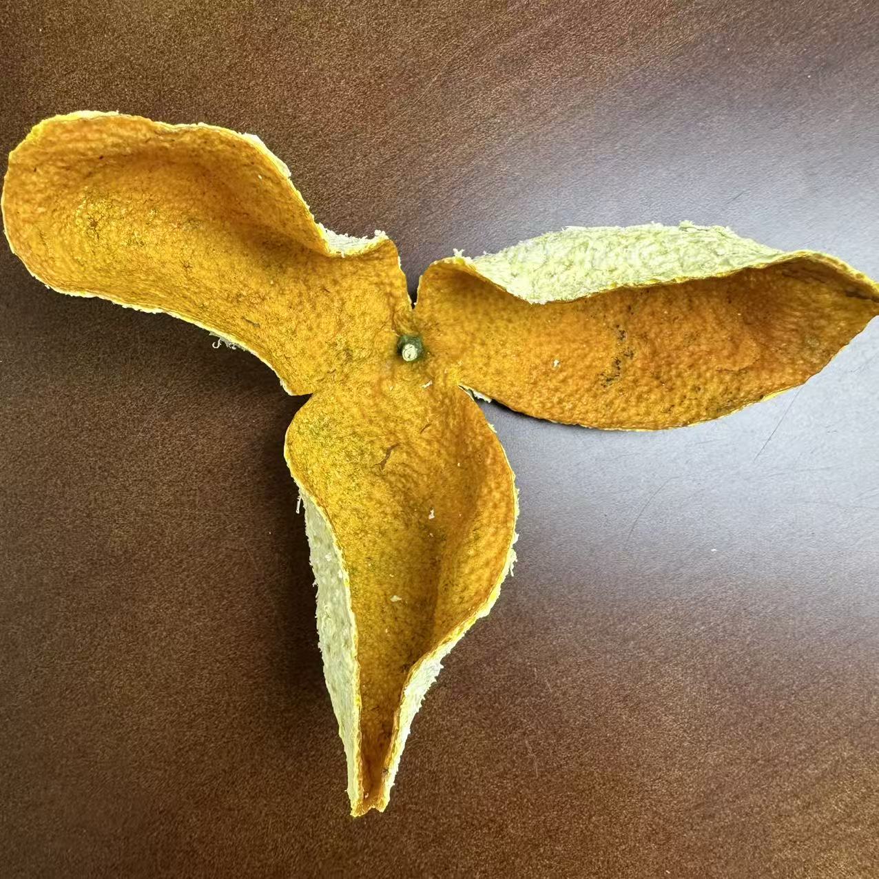 2025年新会茶坑产区圈枝二红陈皮