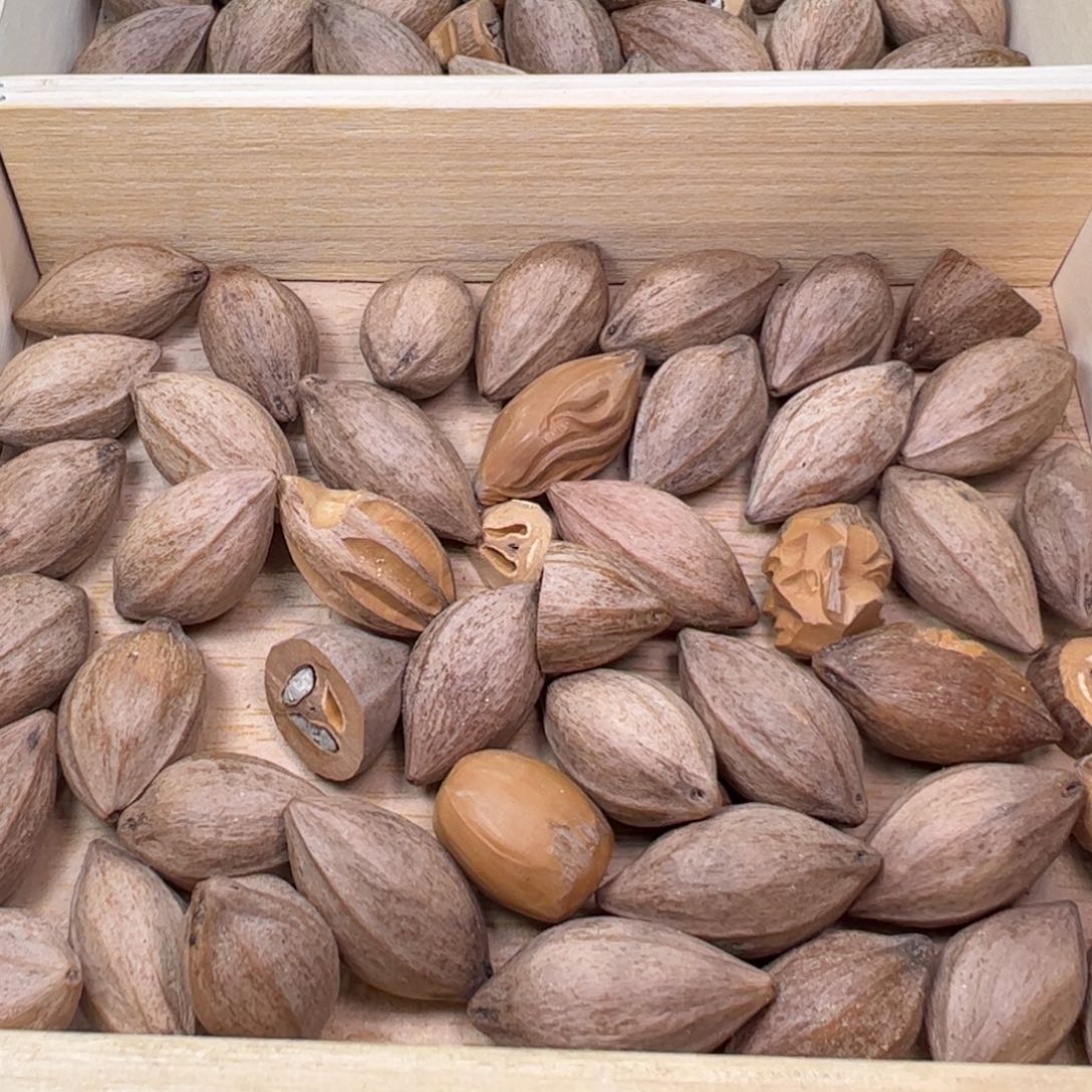 橄榄核手串/手链老挝特厚原料一斤2.0以下通货