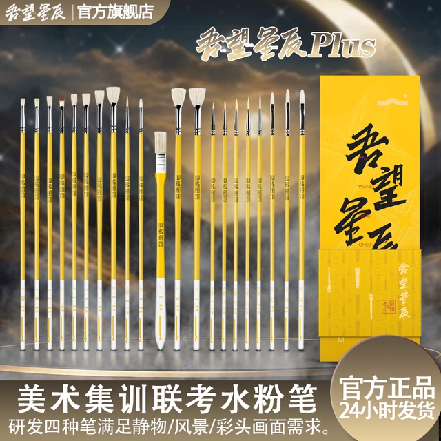 吾望星辰至臻水粉笔套装油画笔丙烯画笔美术生专用画笔刷子排笔水