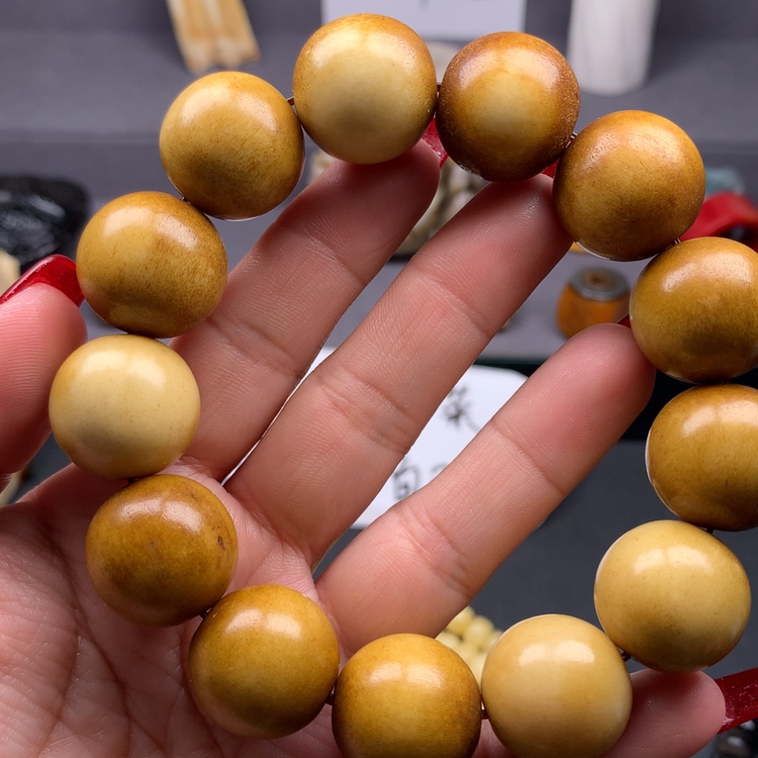 驼骨其他好看又好看