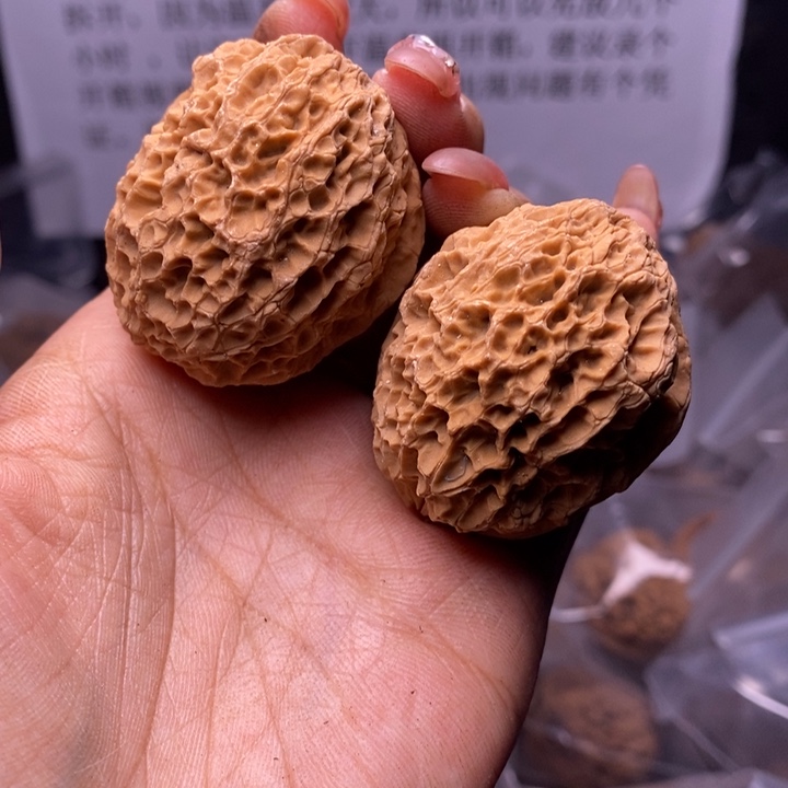 核桃云南野生铁核桃207号42mm