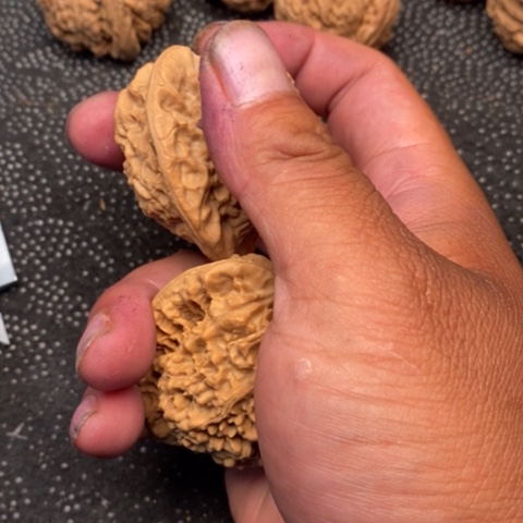 文玩核桃把件官帽3.3