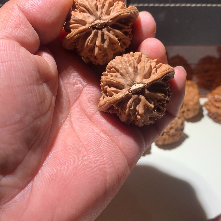 文玩核桃把件宫灯