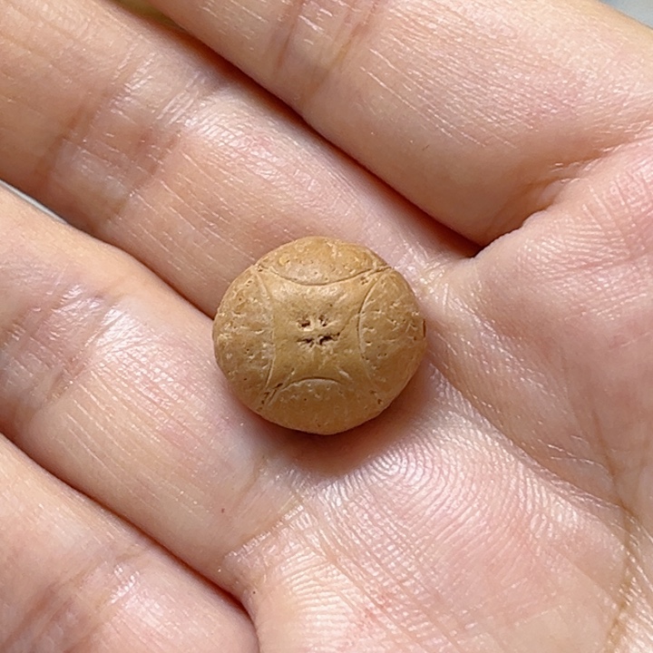 吊坠凤眼菩提15麒麟单籽，86@2927