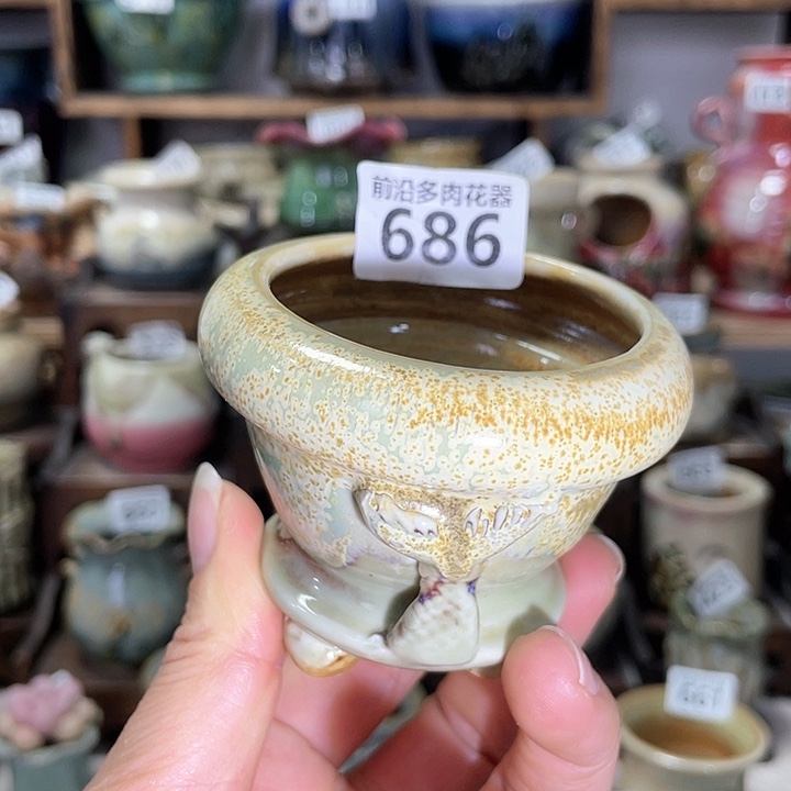 红陶内口径6高度6