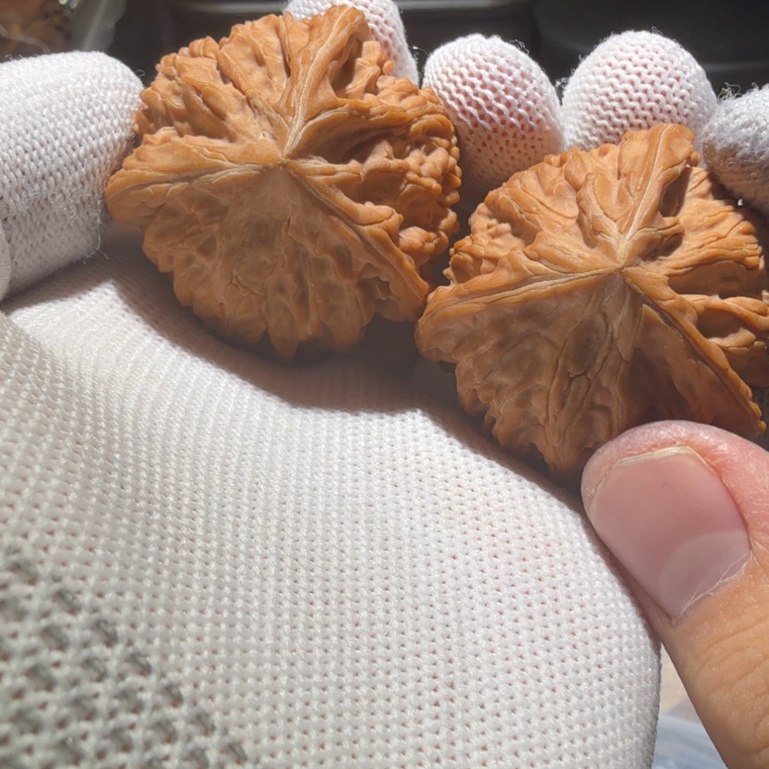 豪***刘把件文玩核桃御龙三棱