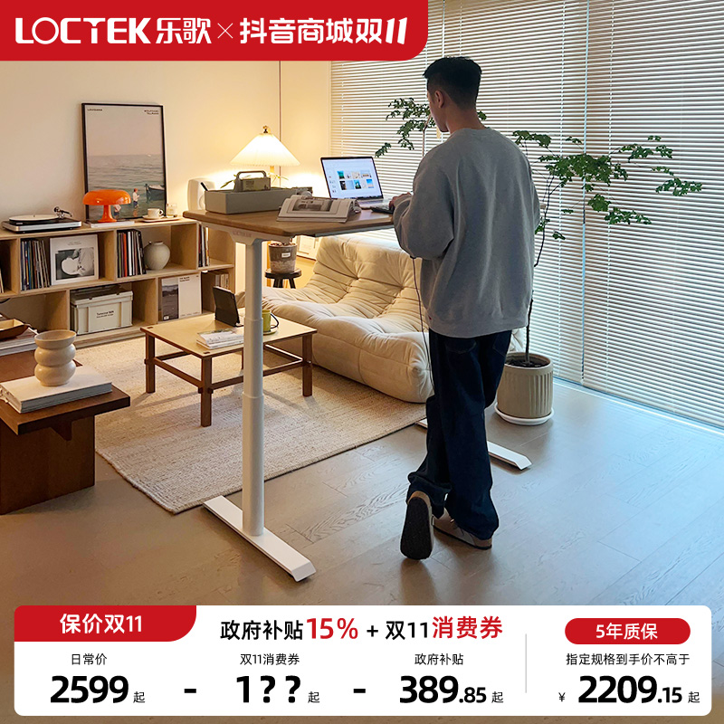 乐歌实木升降桌正装冷轧钢椭圆桌腿125kg承重电脑桌全能家居桌E6