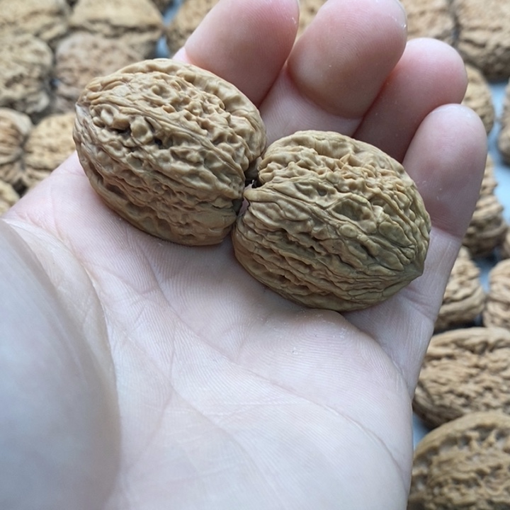 s***x文玩核桃吊坠高炮拉丝蚂蚁南疆石