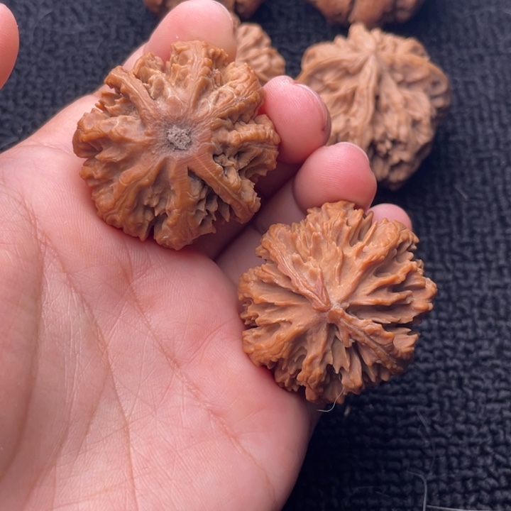 文玩核桃把件文玩核桃17底部微瑕