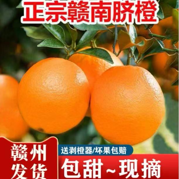 【产地直发】正宗赣南脐橙会昌产地直发品质保障
