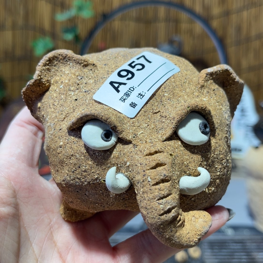 木村信弘柴烧保平