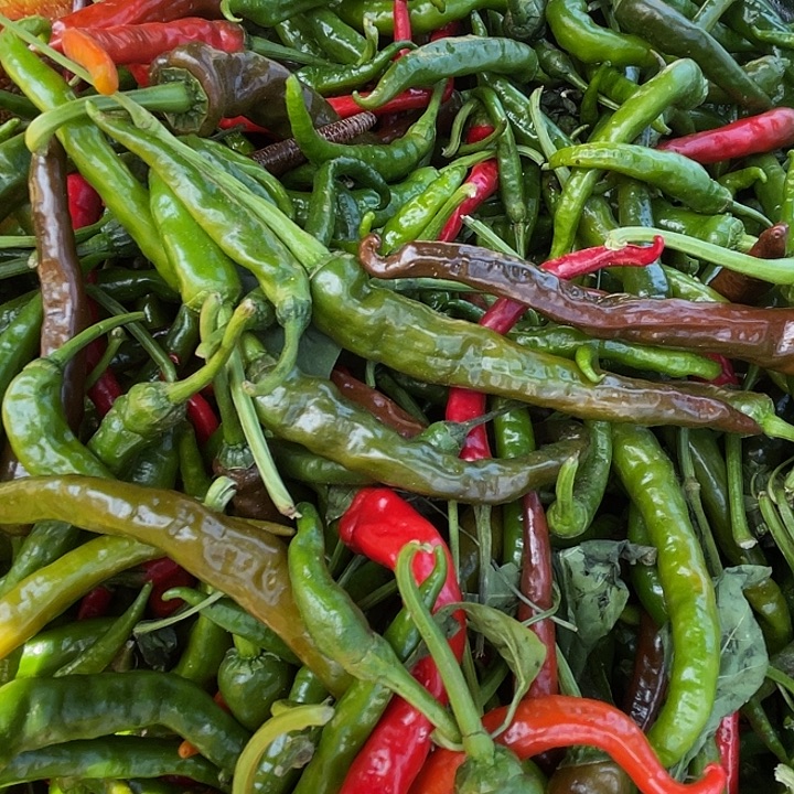 中国大陆本地薄片勾椒两斤