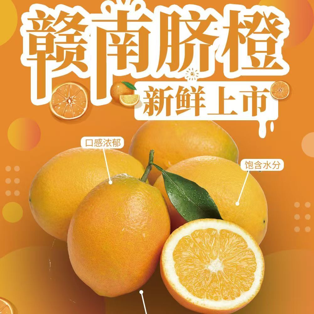 玲珑果（小果）江西赣南脐橙橙子10斤/20斤