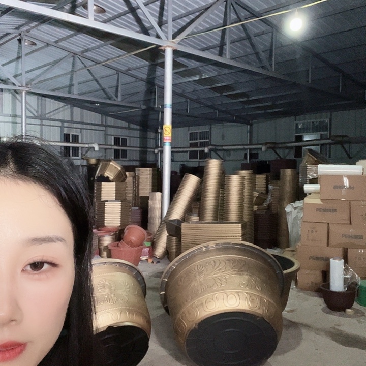 盆景50和盆景60盆各10个圆60花盆3个