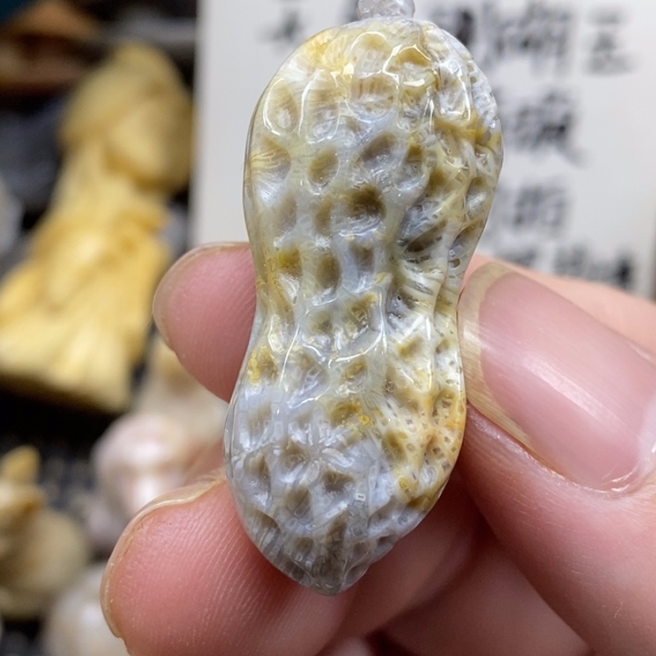 硅化珊瑚（珊瑚玉）未镶嵌颈饰