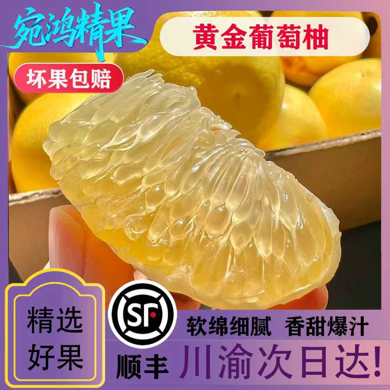 【黄金葡萄柚】爆甜多汁爆汁柚老树现摘新鲜水果顺丰冷链川渝次日达福建省