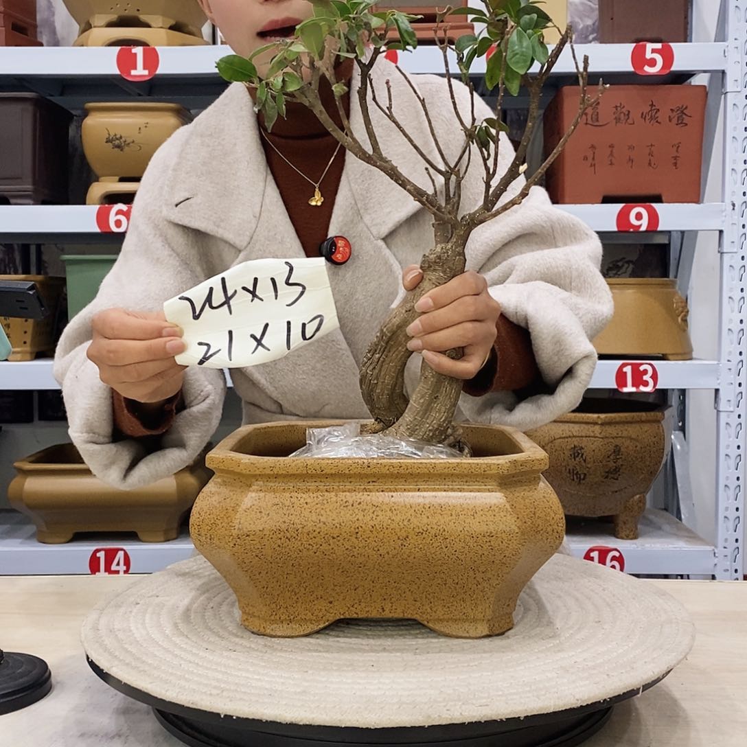 紫砂花盆紫砂花盆