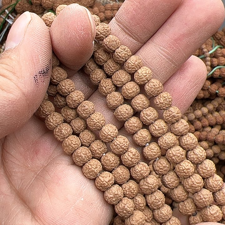 金刚菩提手串正**侠好评