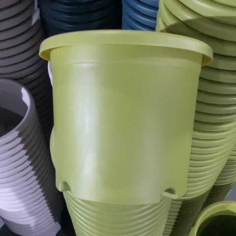 树脂四季3号微瑕果绿无托10个