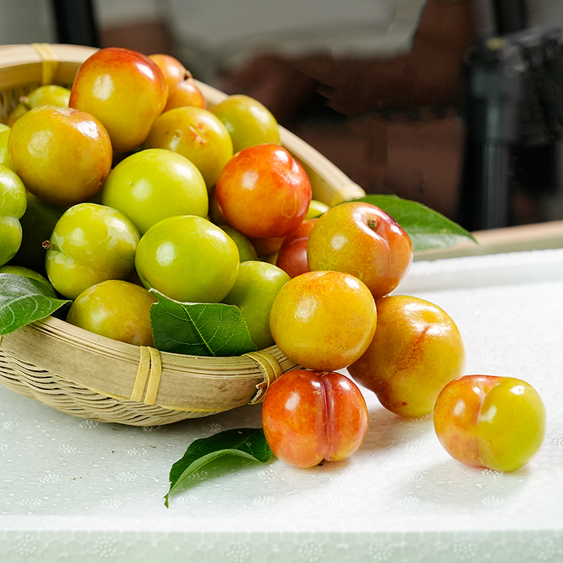 树熟果【顺丰明日达】广东钱排三月李子酸脆李新鲜三华李当季孕妇水果整箱2/5斤广东省