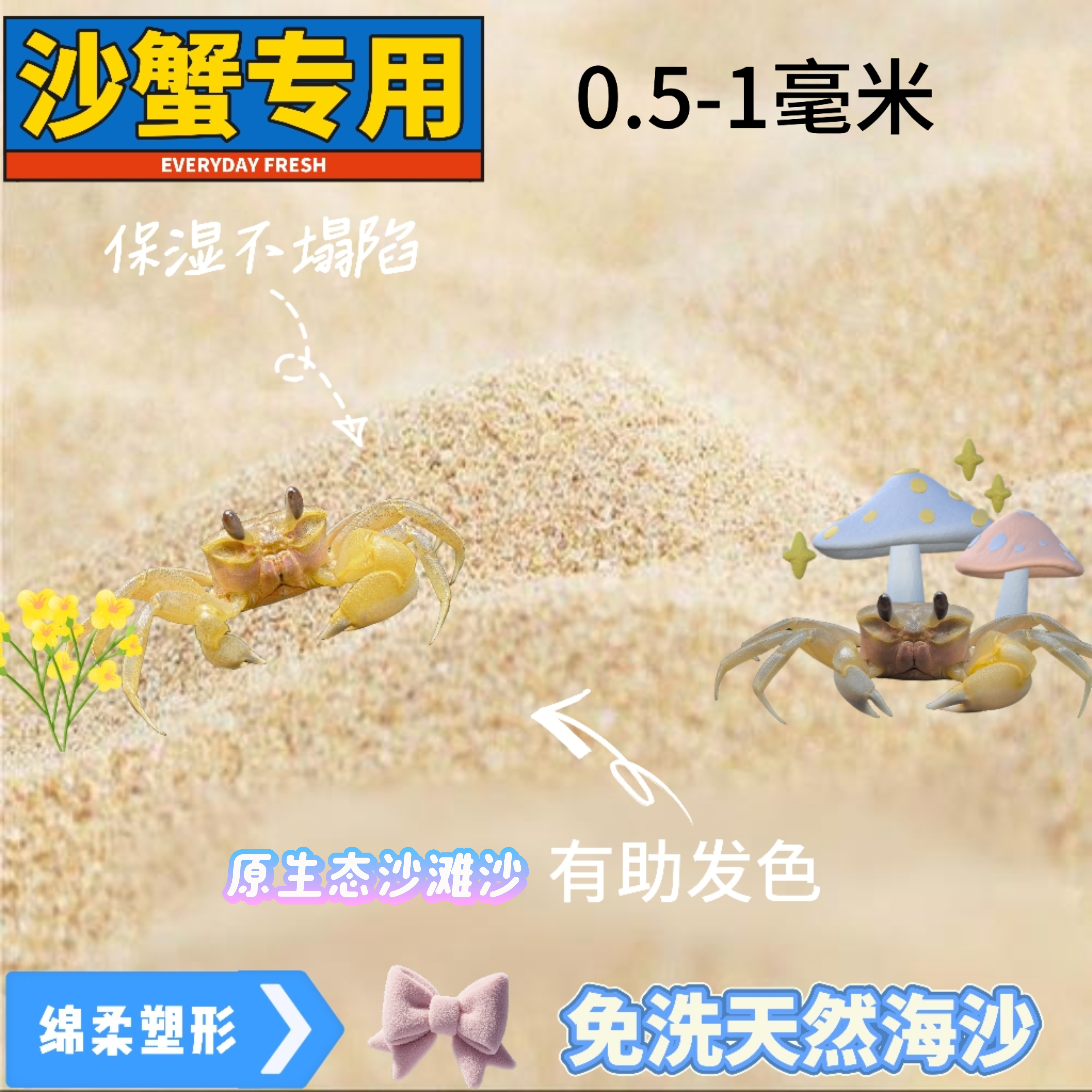 天然免洗海沙中华沙蟹专用沙适合乌龟寄居蟹开缸底砂用品爬宠