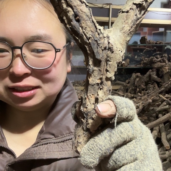 香榧木拉****o火琉璃的故事毛料摆件