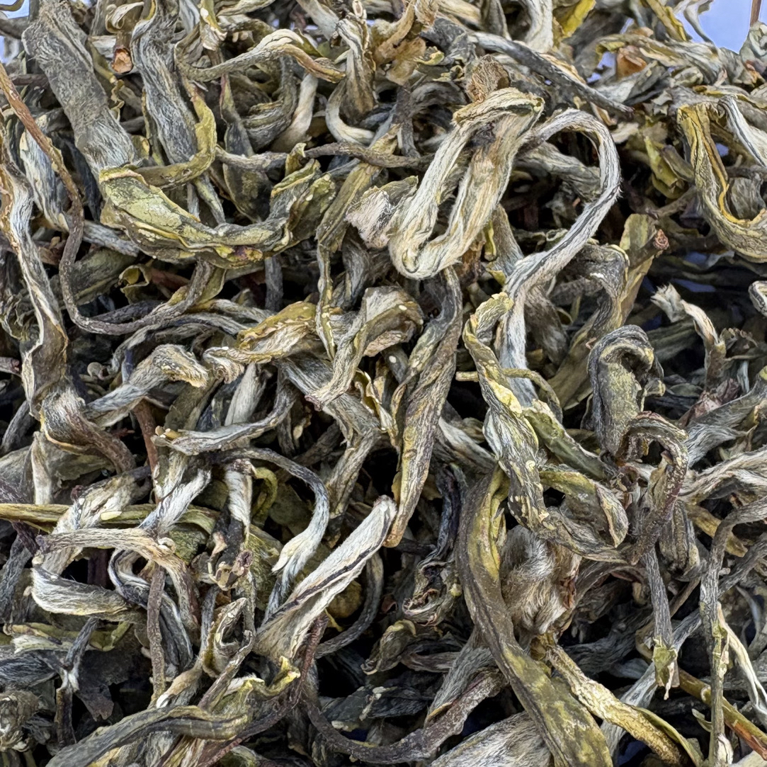 【稀有变异品种】象皮筋 普洱茶生茶100克
