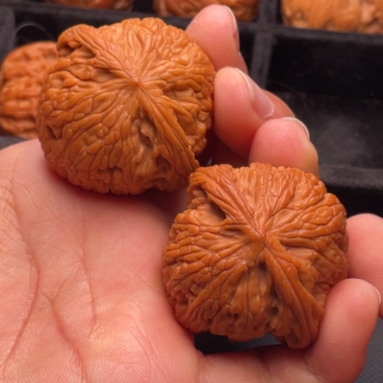 文玩核桃把件秦岭山脉核桃