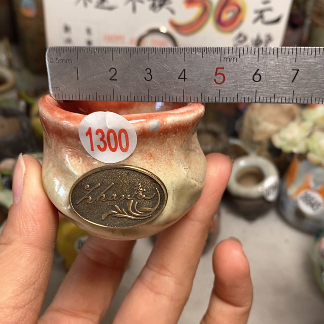 花盆拍5送一个小礼物