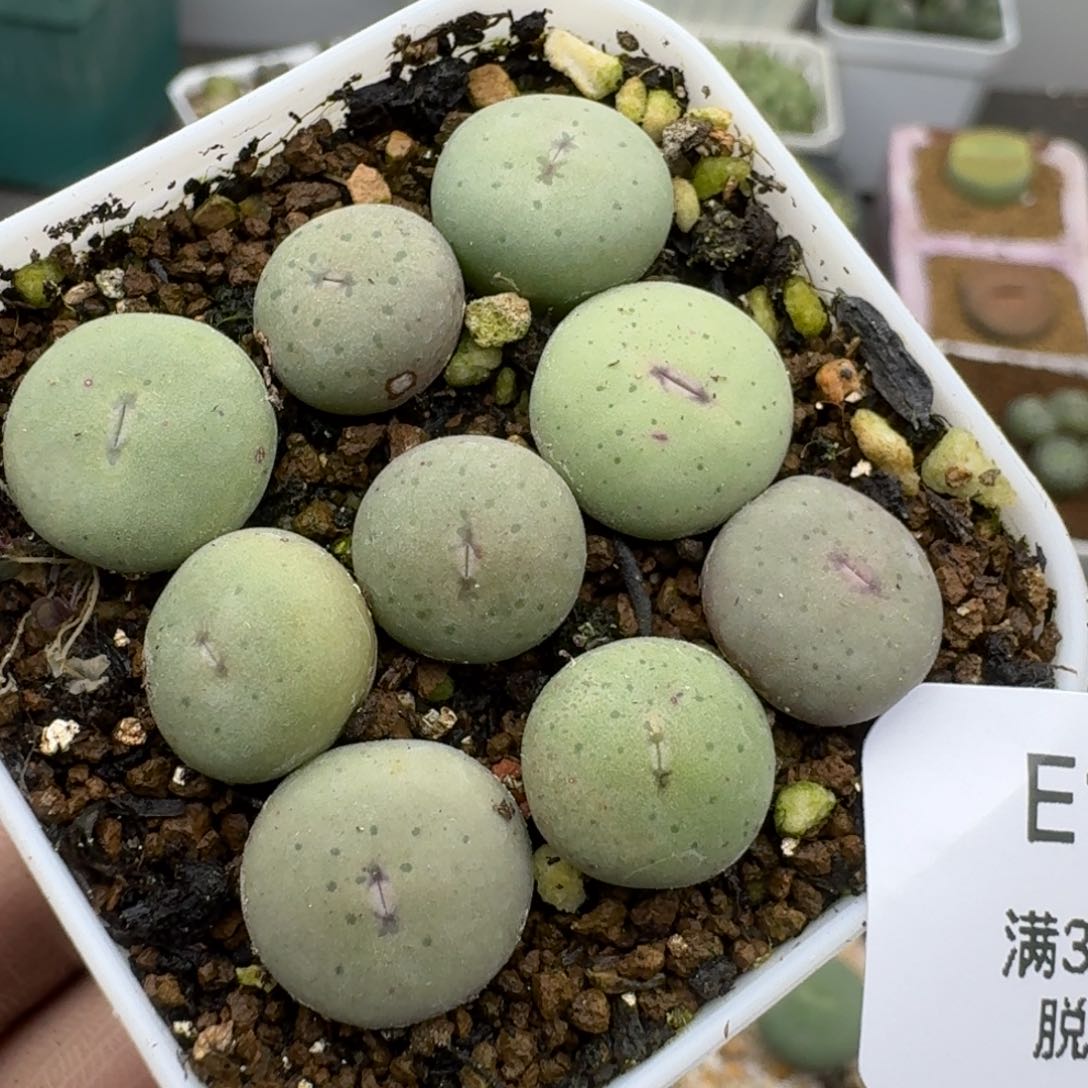 169哈哈哈哈哈哈哈哈哈