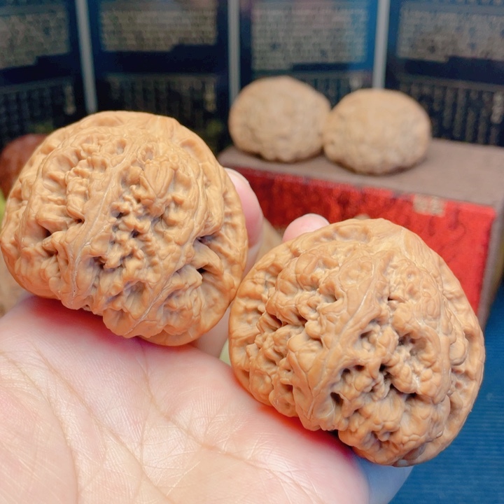 文玩核桃吊坠49全品大粗筋