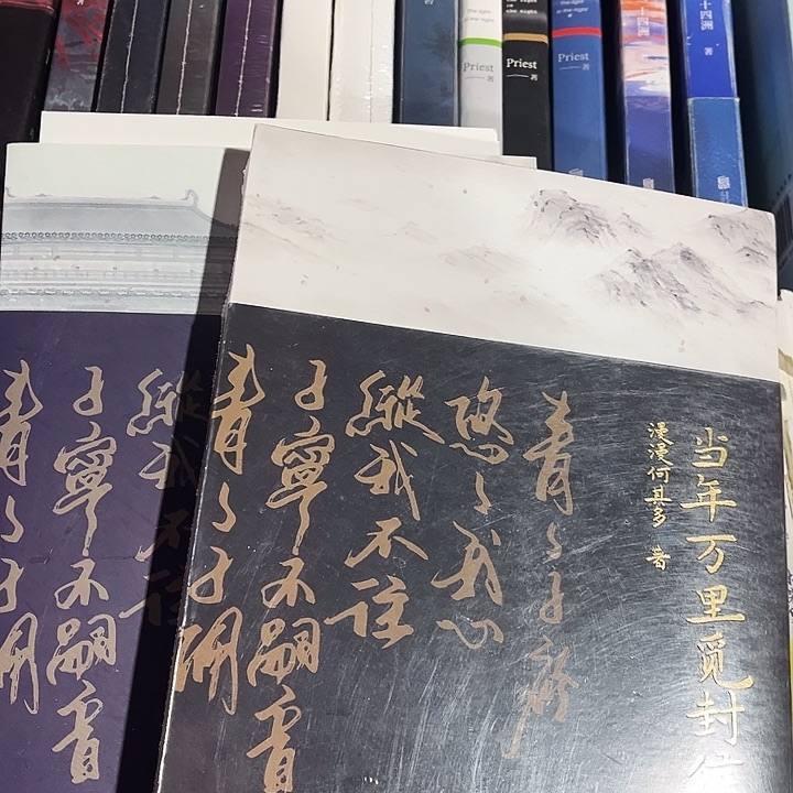 当年万里觅封侯全新全套两本带周边