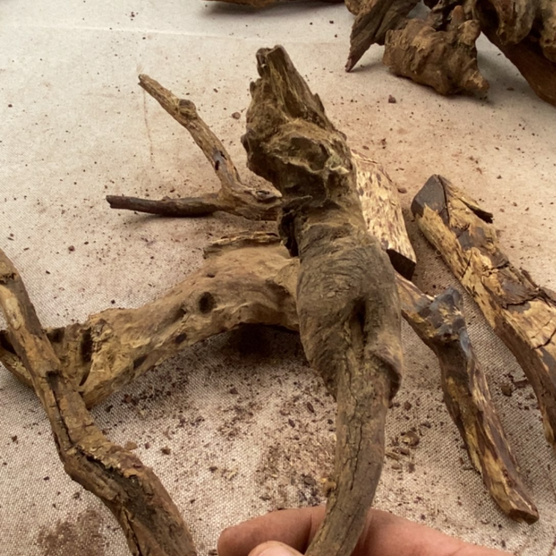 重***锋黄花梨/降香黄檀黄花梨随形料子