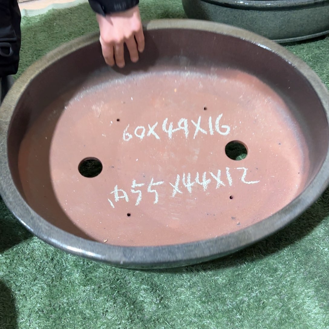 紫砂花盆呜呜呜呜