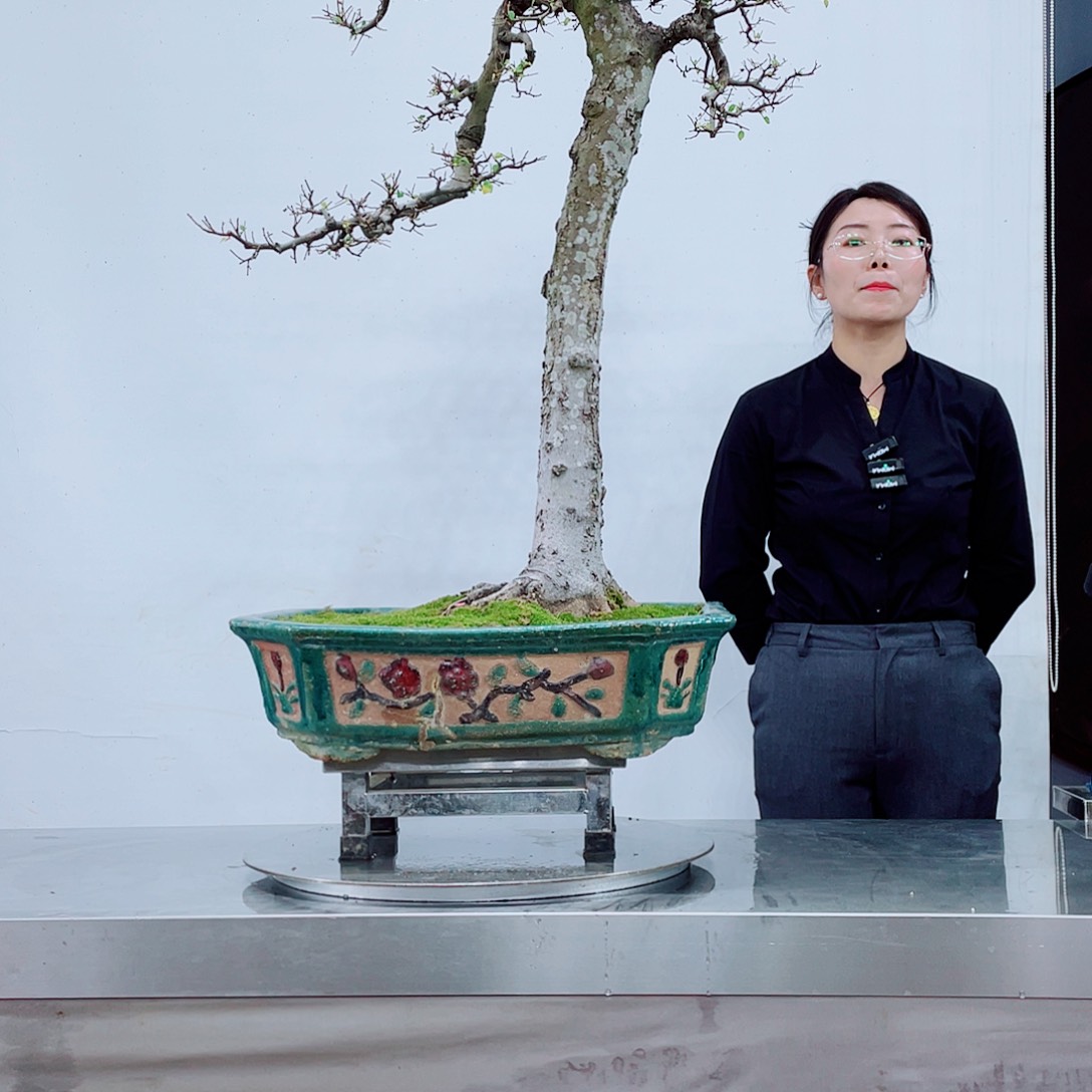 木岭南文化艺术学院