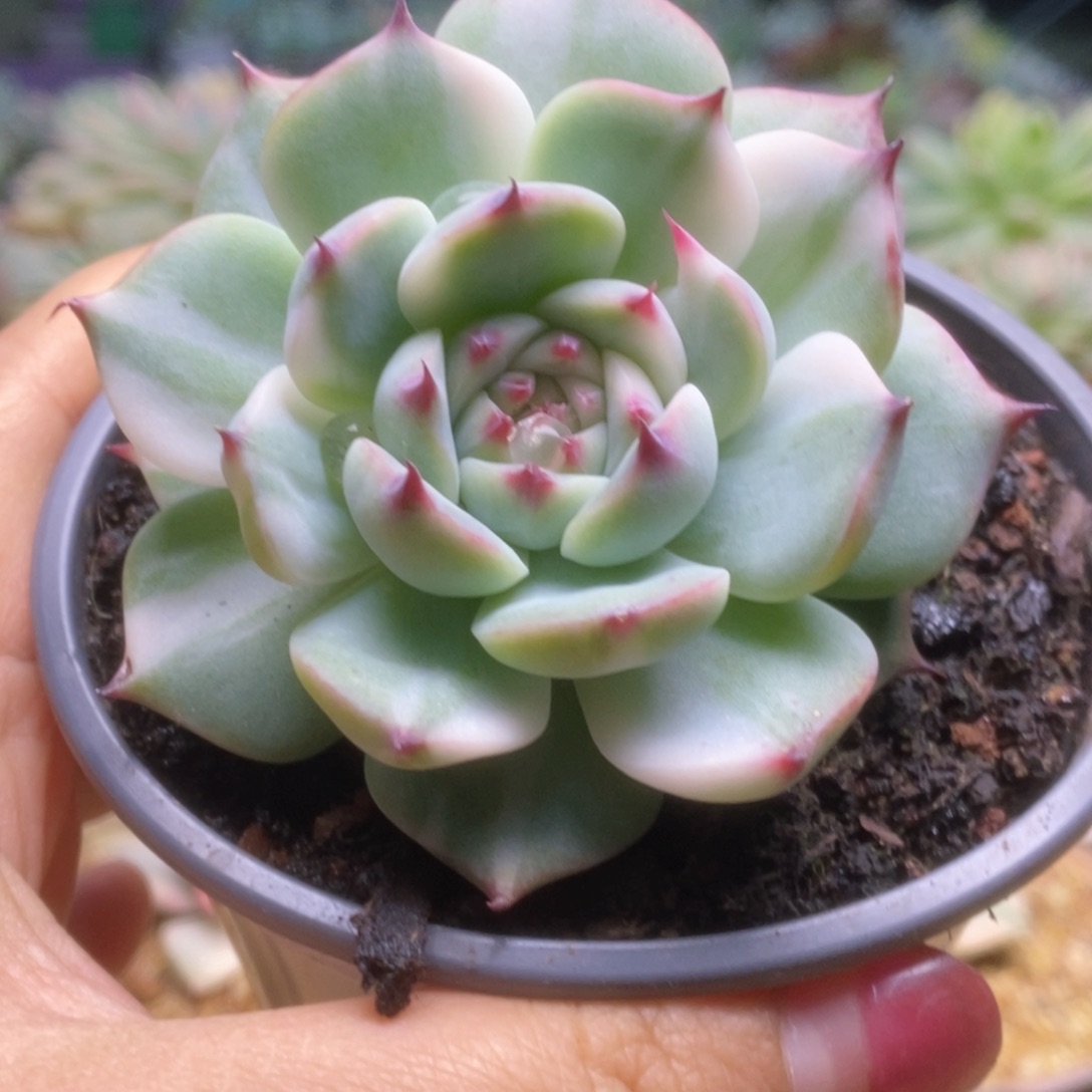 013啦啦啦啦啦啦啦啦啦