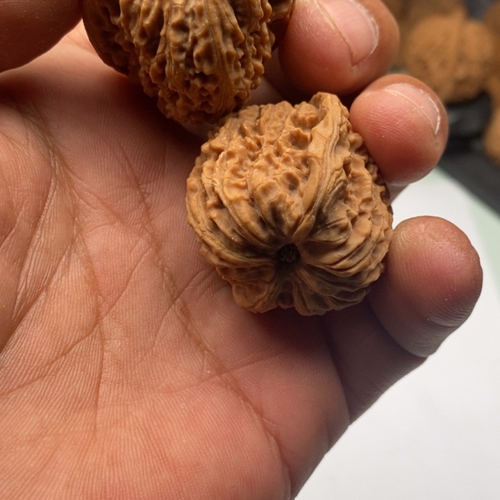 樱****文玩核桃吊坠11111111111