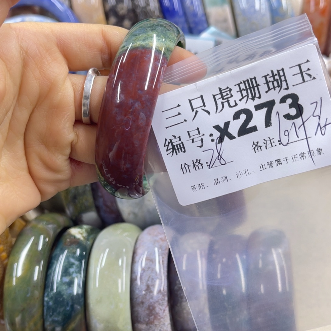 串***光硅化珊瑚（珊瑚玉）未镶嵌h