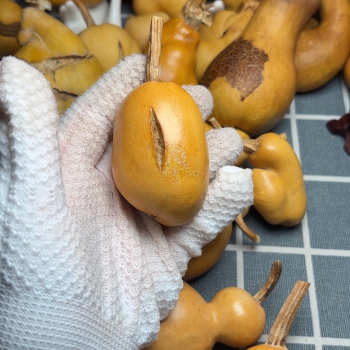 易***蓉裂葫芦67666666666666